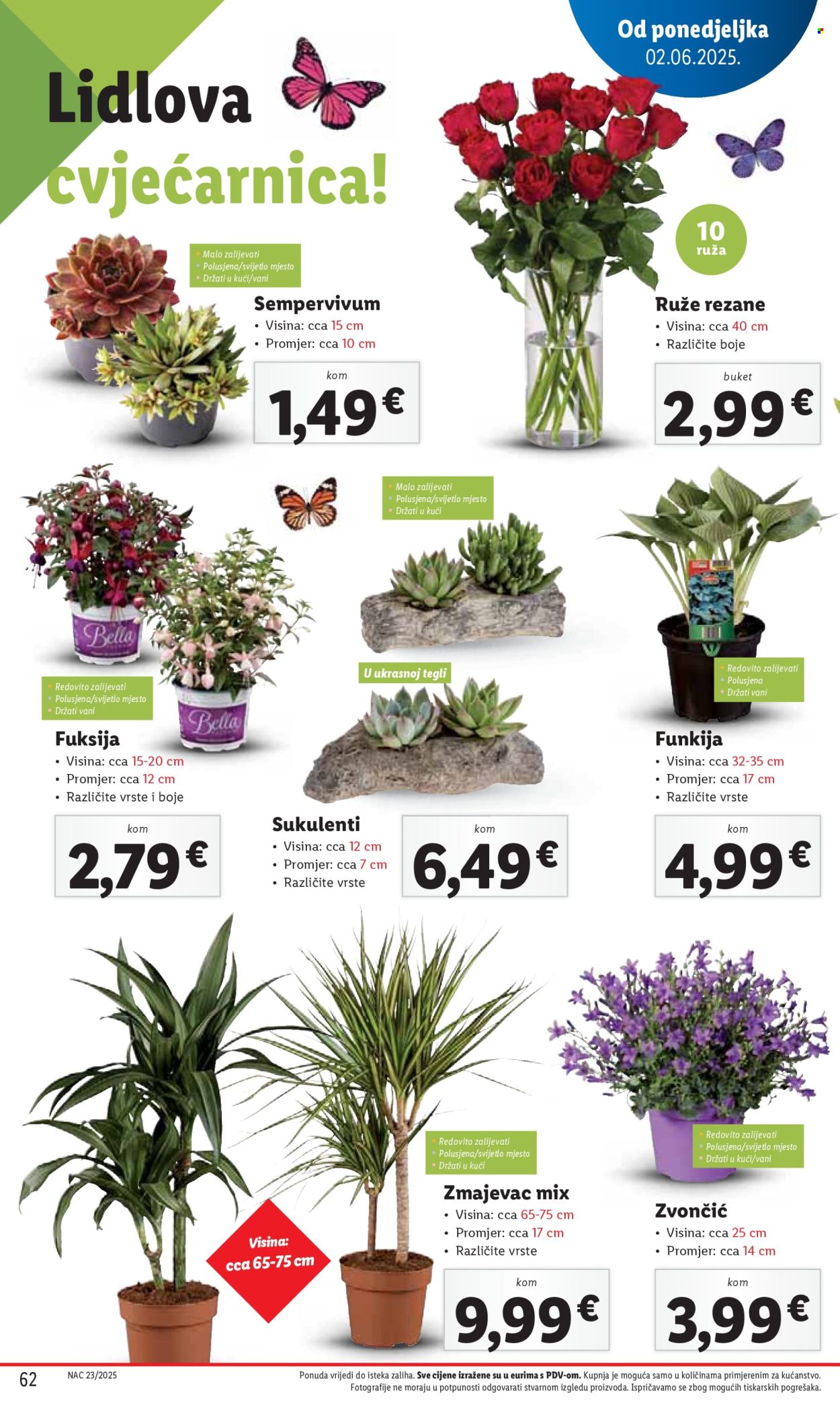 Lidl katalog - 02.06.2025. - 08.06.2025. Stranica 62