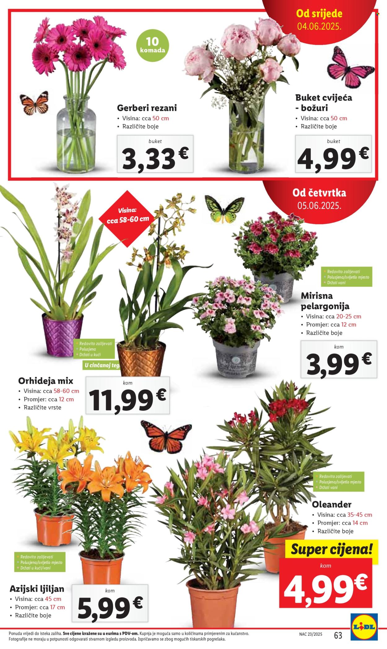 Lidl katalog - 02.06.2025. - 08.06.2025. Stranica 63