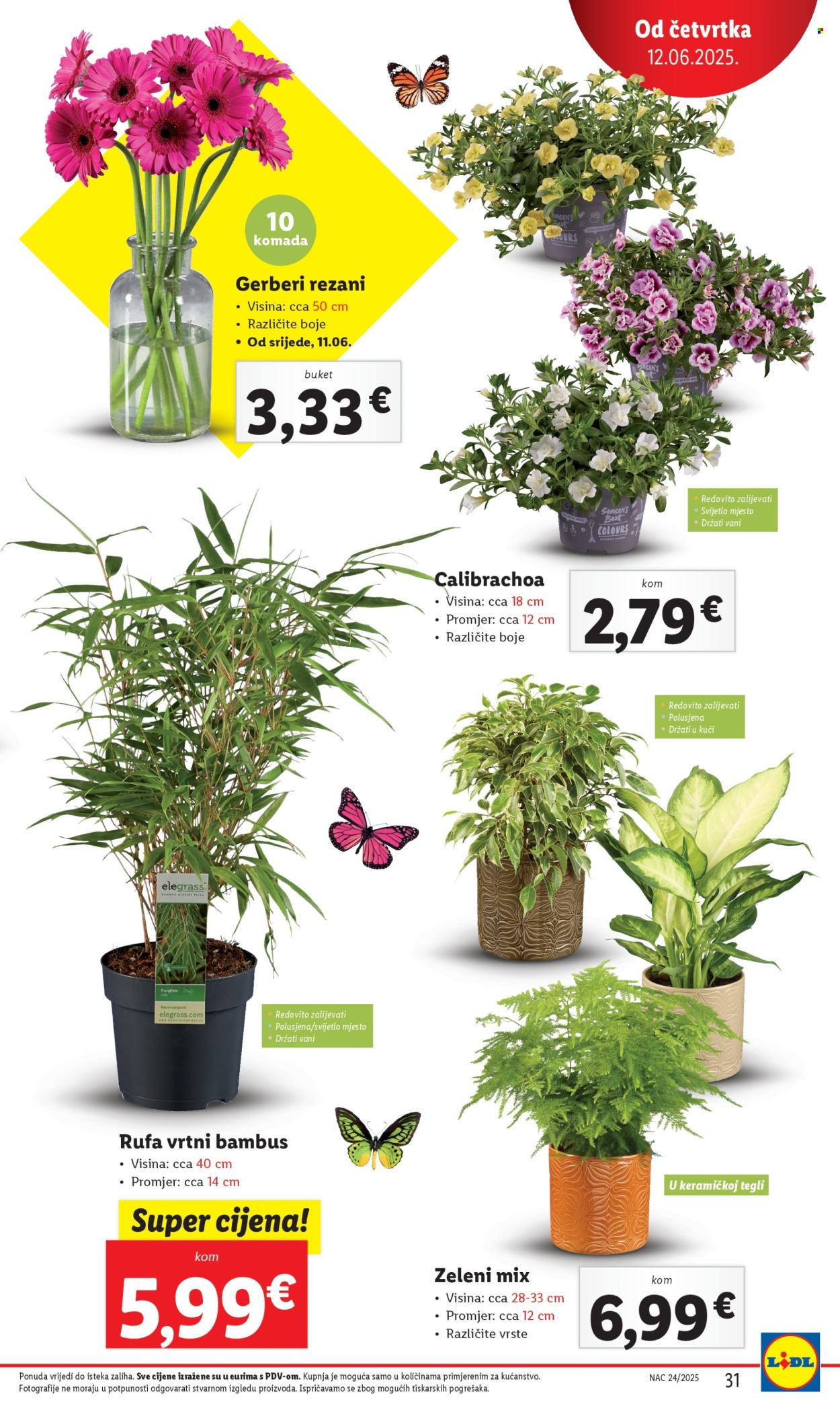 Lidl katalog - 12.06.2025. - 15.06.2025. Stranica 31