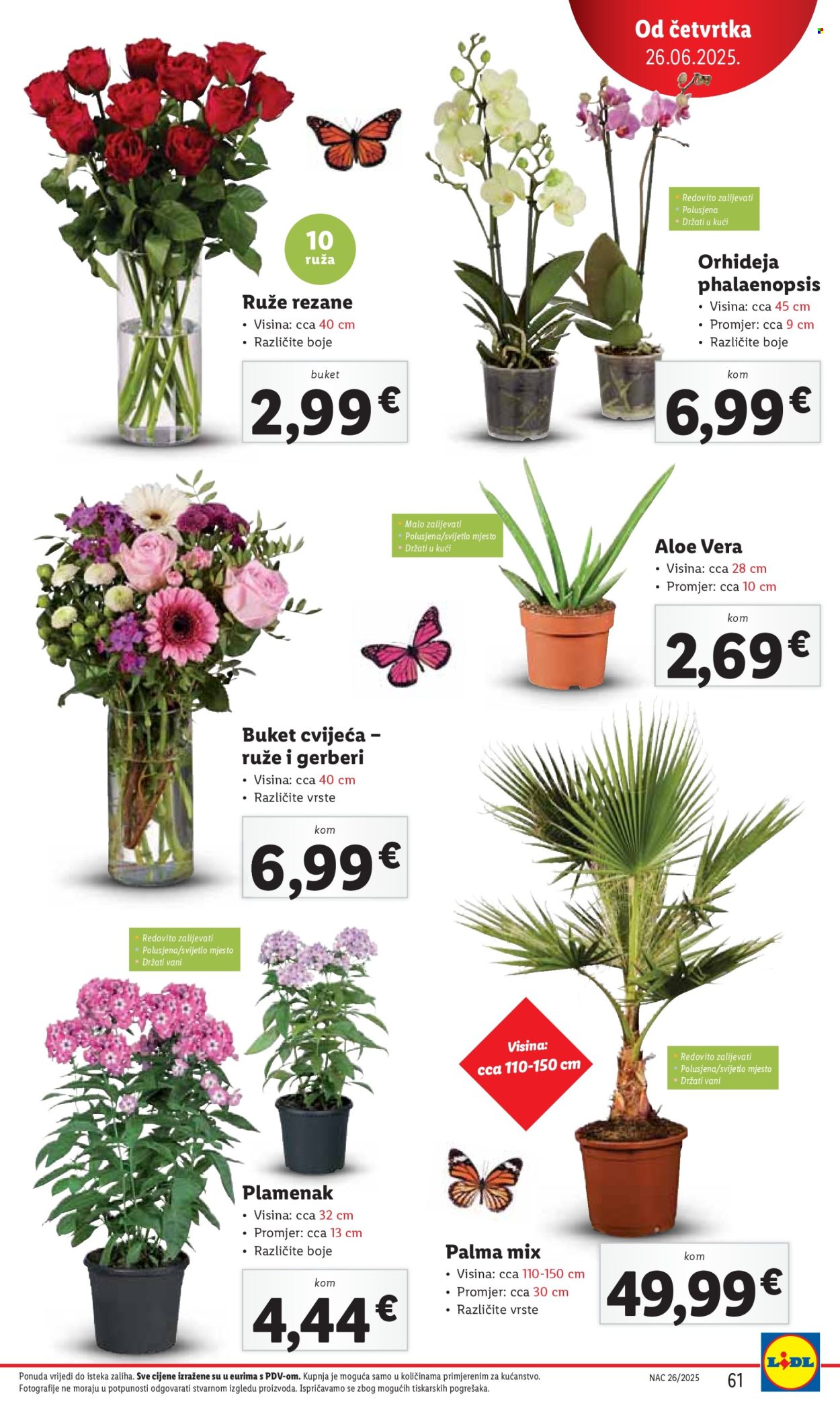 Lidl katalog - 23.06.2025. - 29.06.2025. Stranica 61