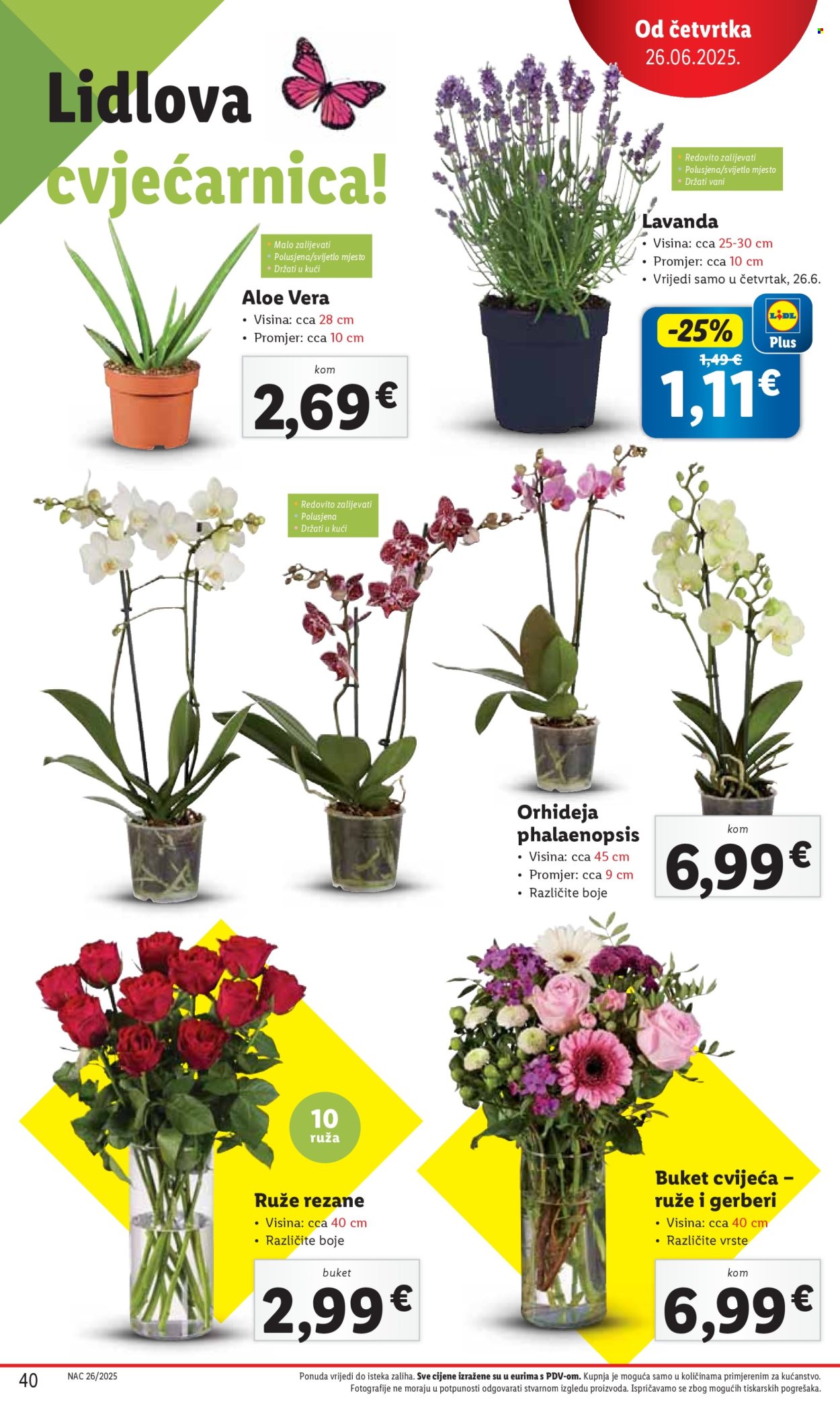 Lidl katalog - 26.06.2025. - 29.06.2025. Stranica 40
