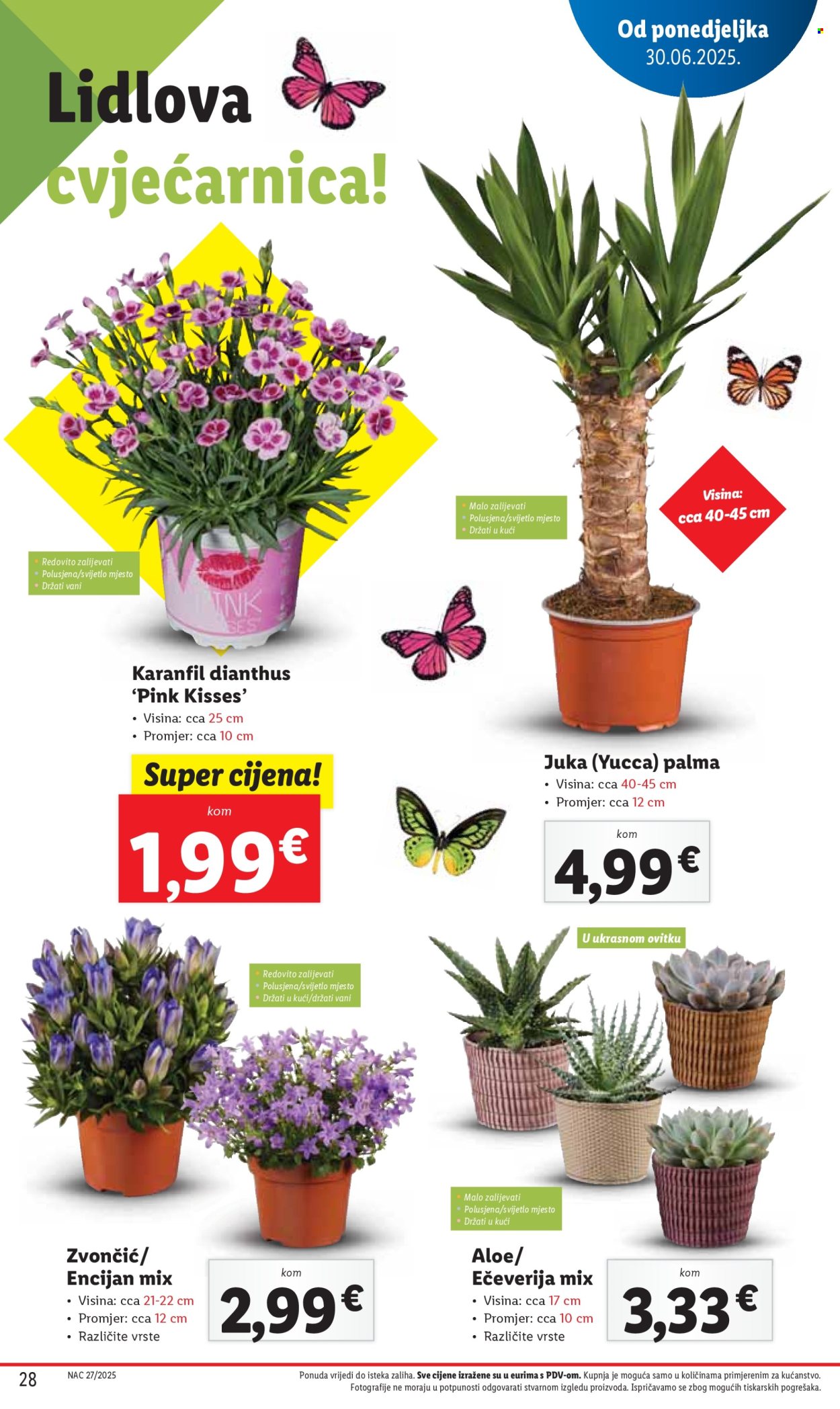 Lidl katalog - 03.07.2025. - 06.07.2025. Stranica 28