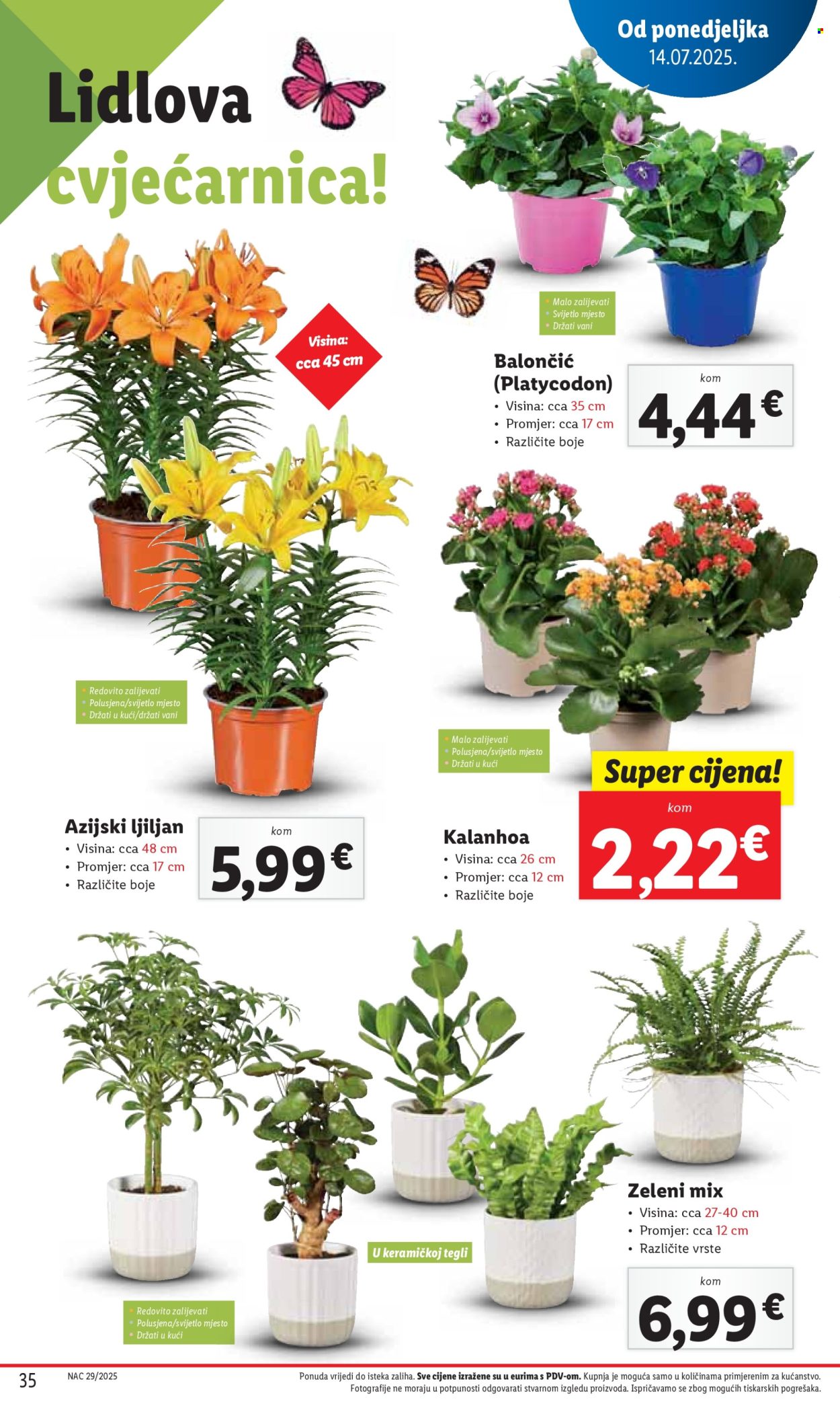 Pepco katalog - 17.07.2025. - 20.07.2025. Stranica 35