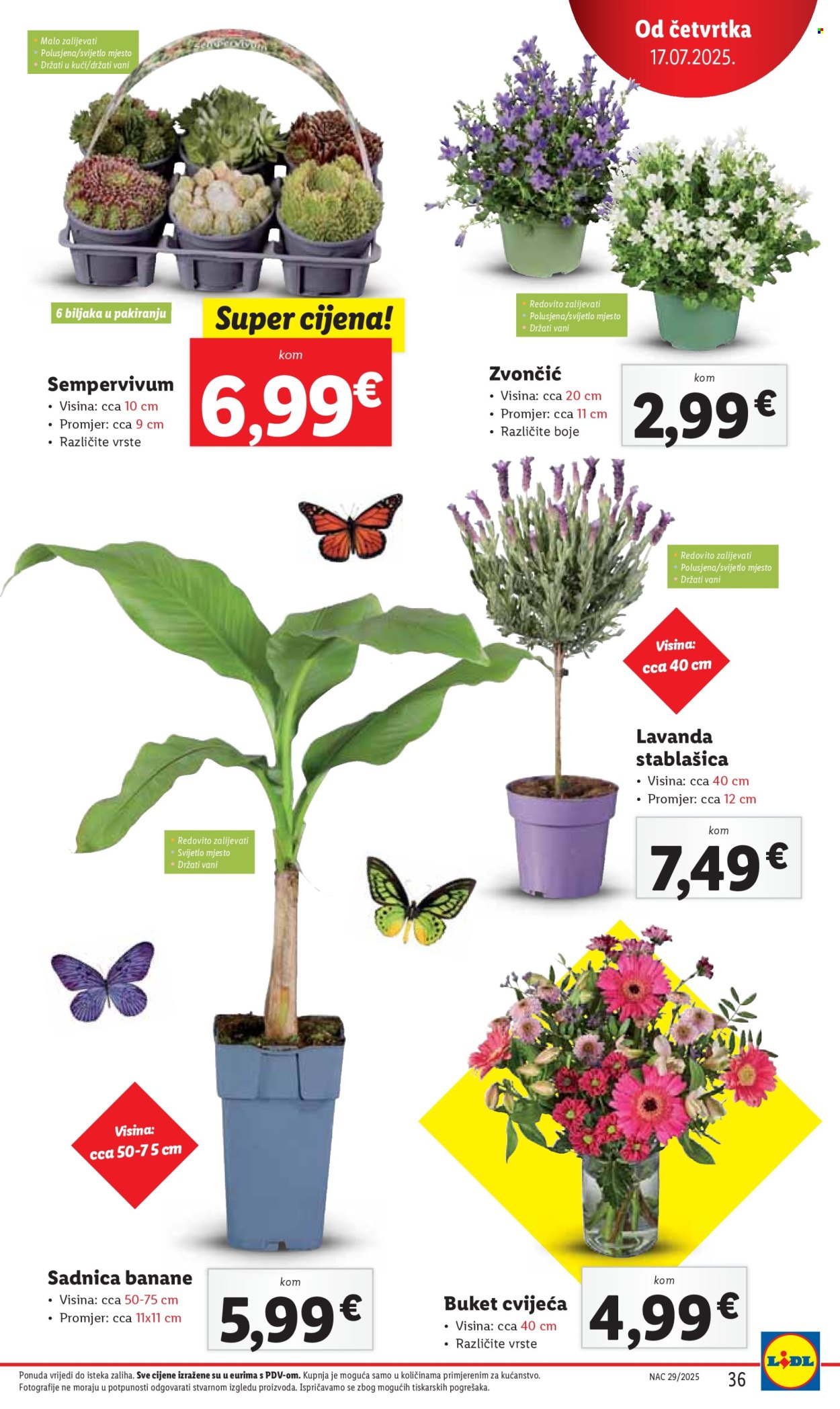 Pepco katalog - 17.07.2025. - 20.07.2025. Stranica 36