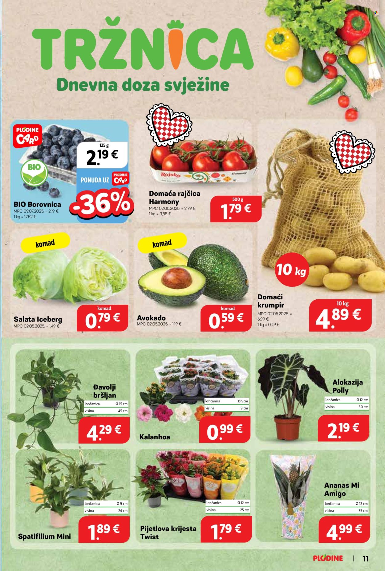 Plodine katalog - 06.08.2025. - 12.08.2025. Stranica 11