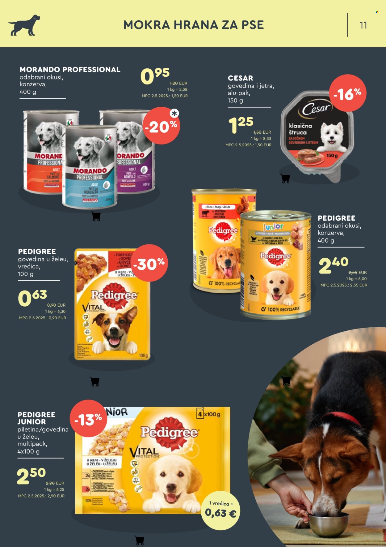 Zoo City katalog - 04.08.2025. - 24.08.2025. Stranica 11