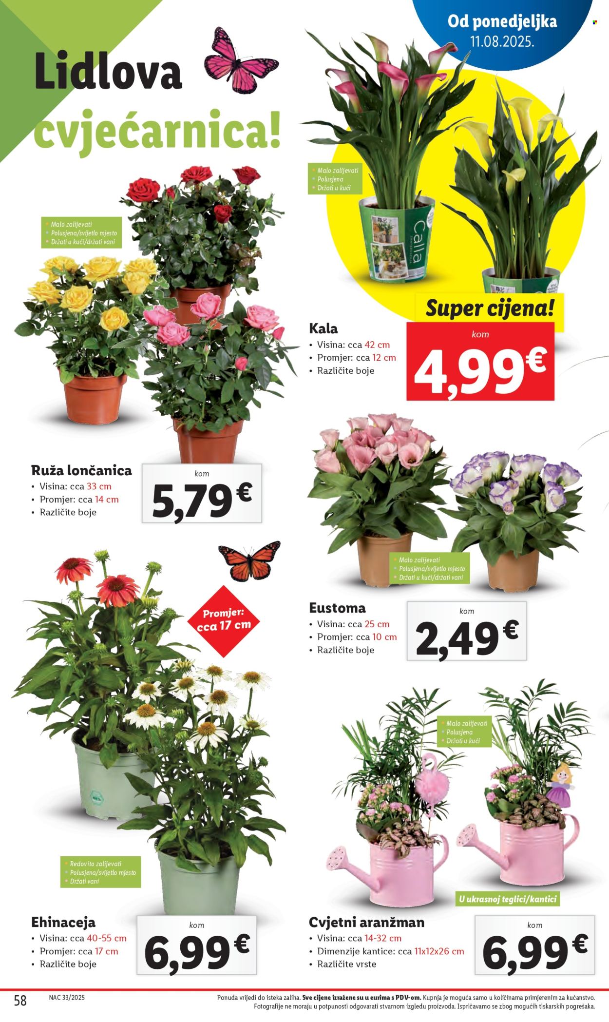 Lidl katalog - 11.08.2025. - 17.08.2025. Stranica 58