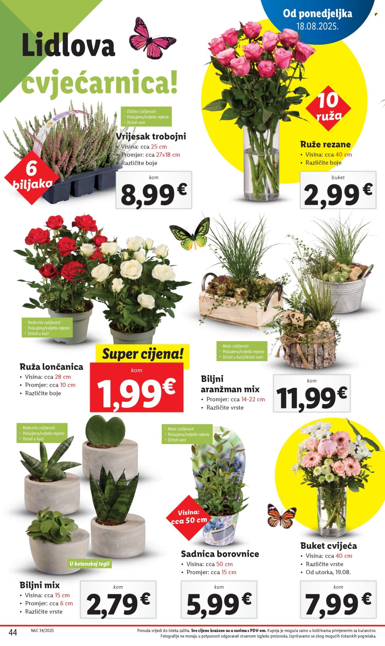 Lidl katalog - 18.08.2025. - 24.08.2025. Stranica 44