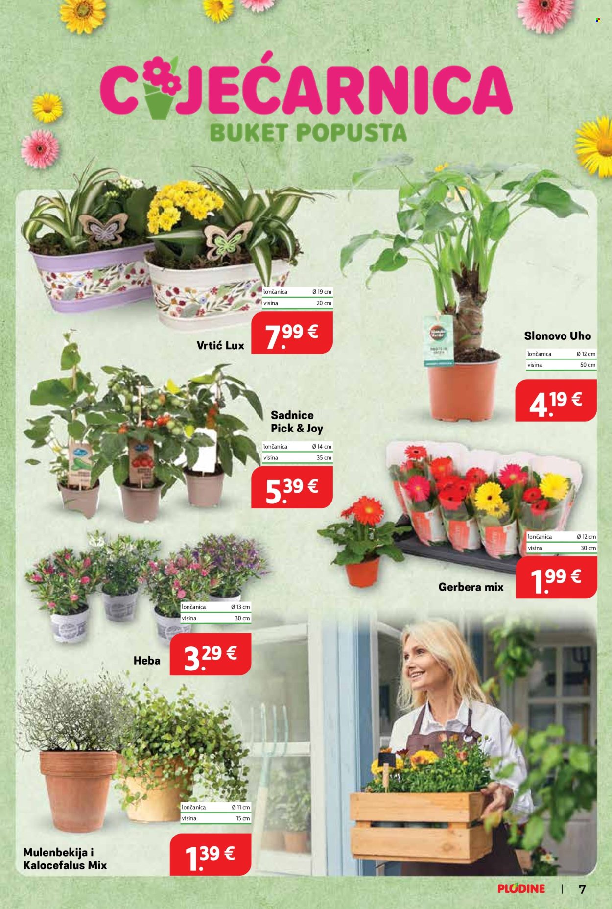 Plodine katalog - 20.08.2025. - 26.08.2025. Stranica 7