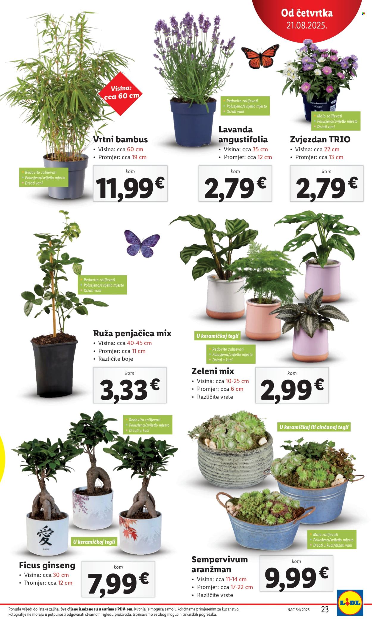 Lidl katalog - 21.08.2025. - 24.08.2025. Stranica 23