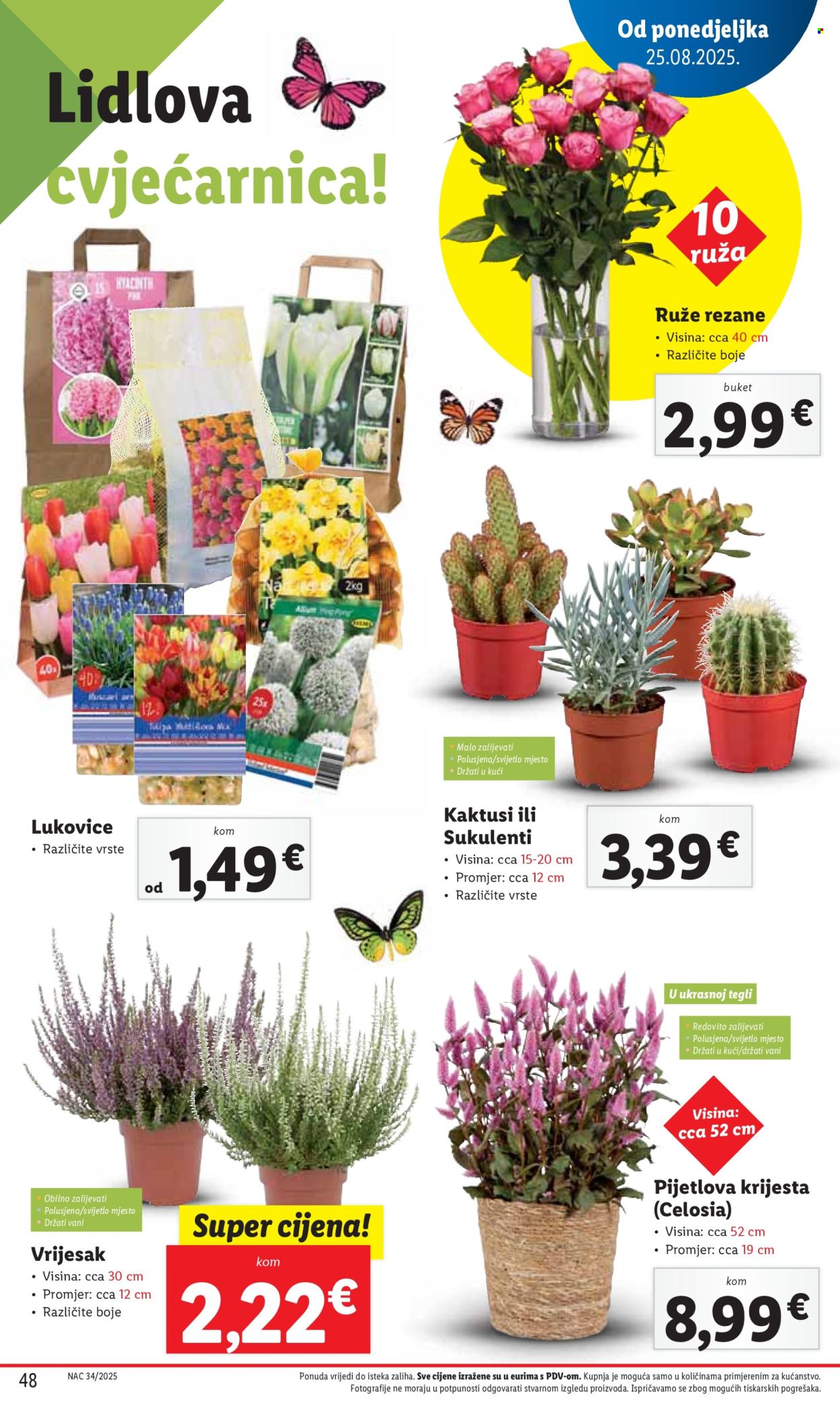 Lidl katalog - 25.08.2025. - 31.08.2025. Stranica 48