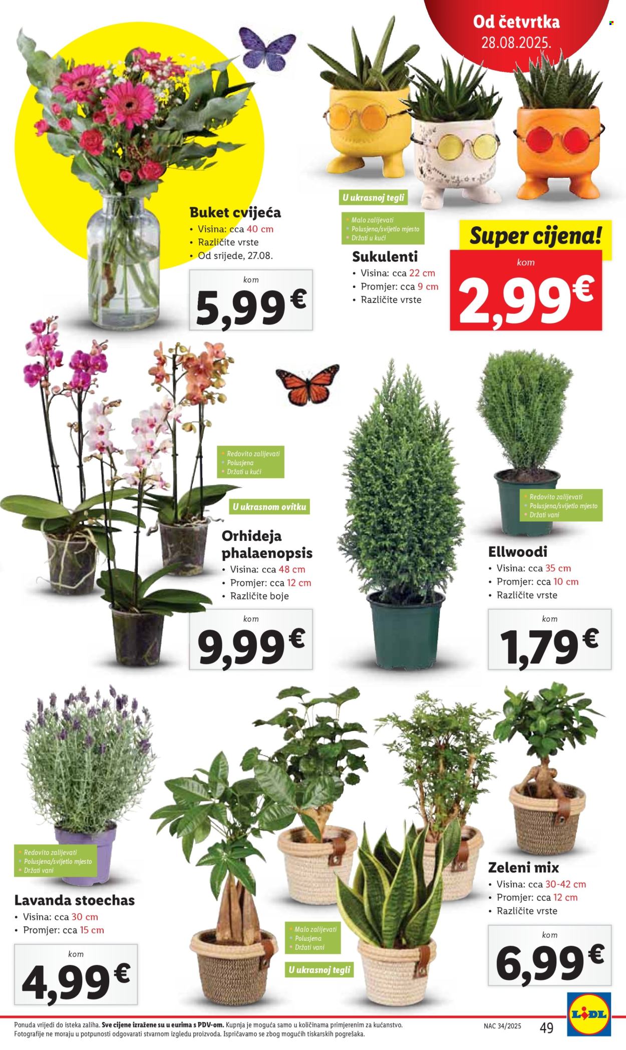 Lidl katalog - 25.08.2025. - 31.08.2025. Stranica 49