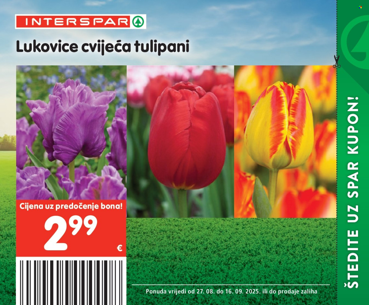 INTERSPAR katalog - 27.08.2025. - 16.09.2025. Stranica 56