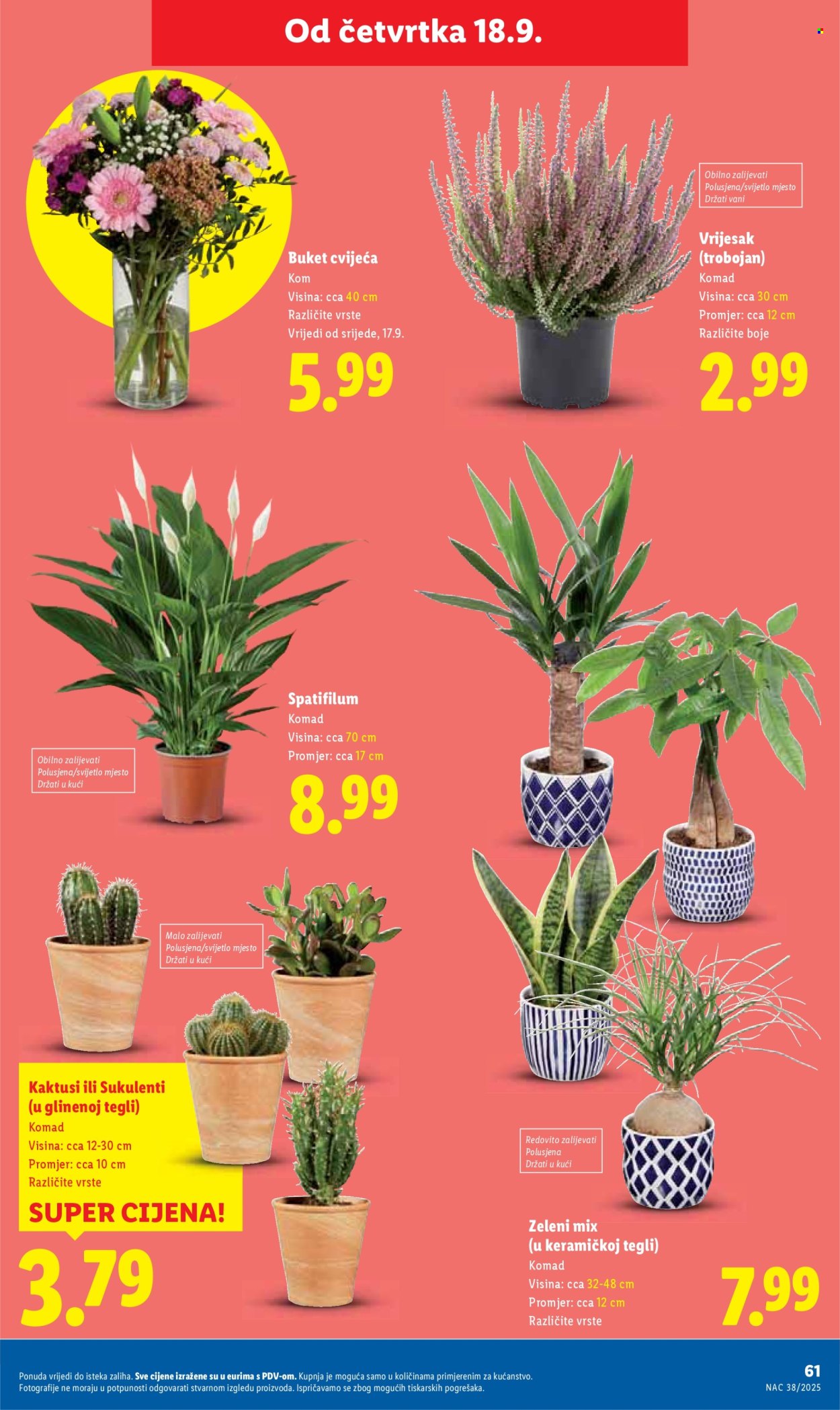 Lidl katalog - 15.09.2025. - 21.09.2025. Stranica 61