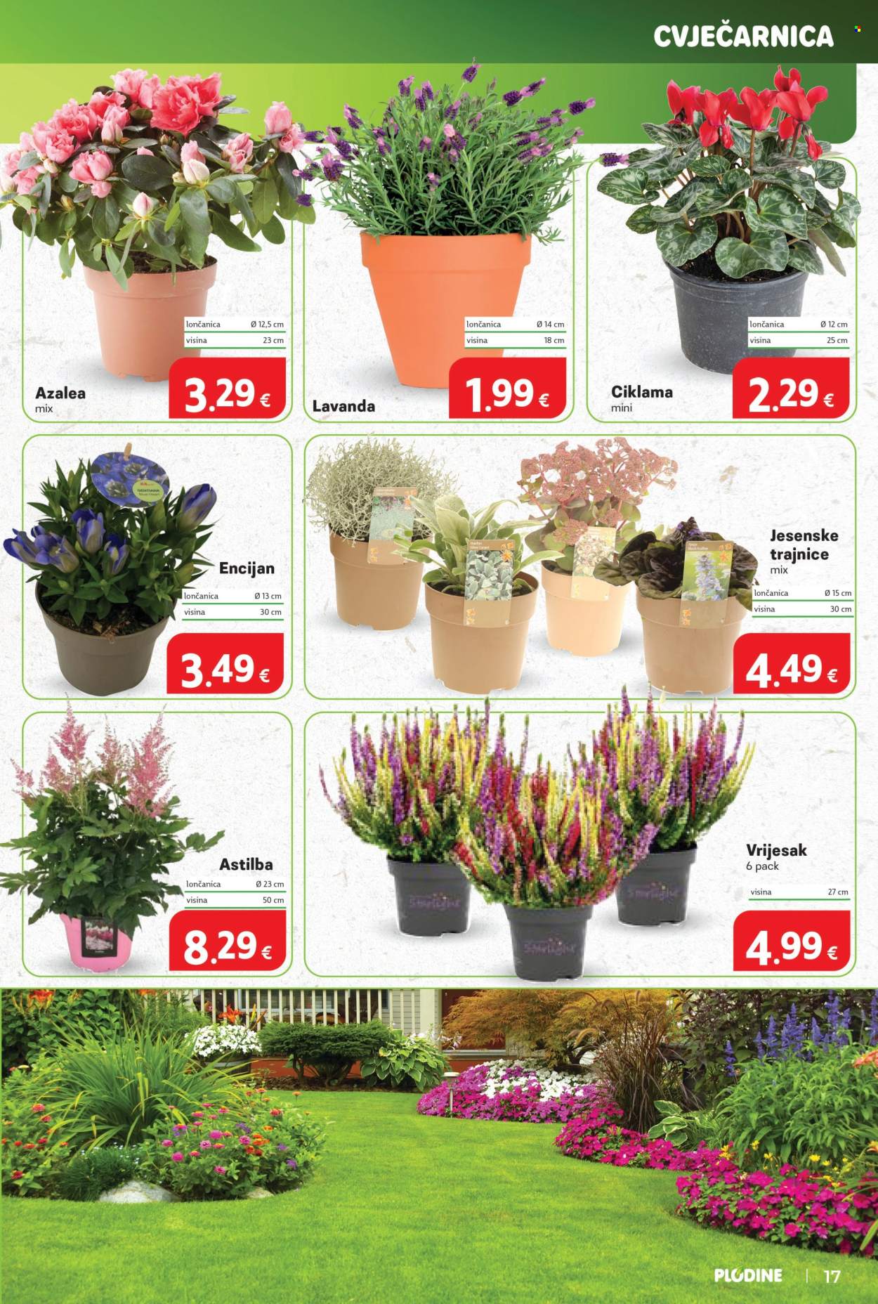 Plodine katalog - 24.09.2025. - 30.09.2025. Stranica 17