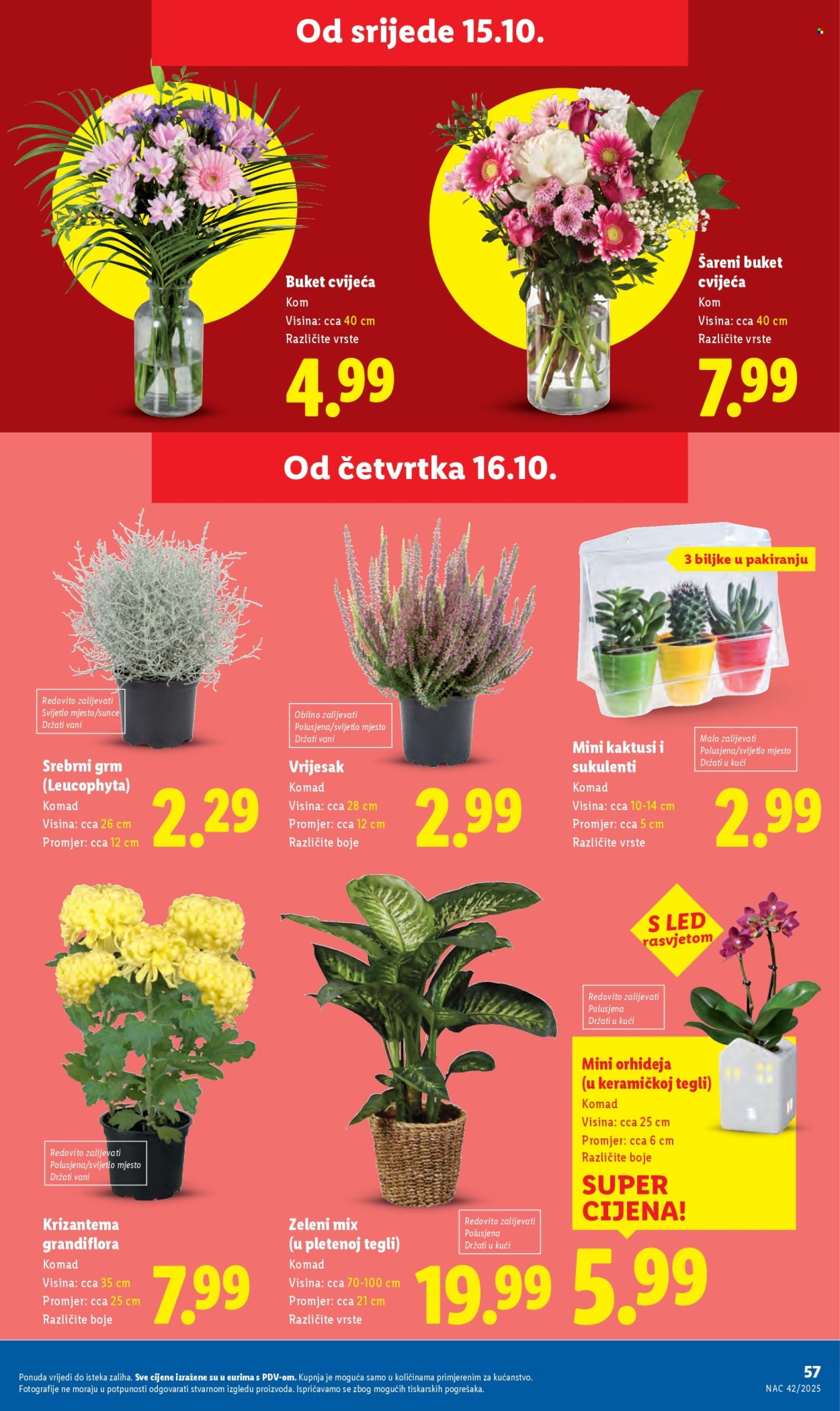 Lidl katalog - 13.10.2025. - 19.10.2025. Stranica 57