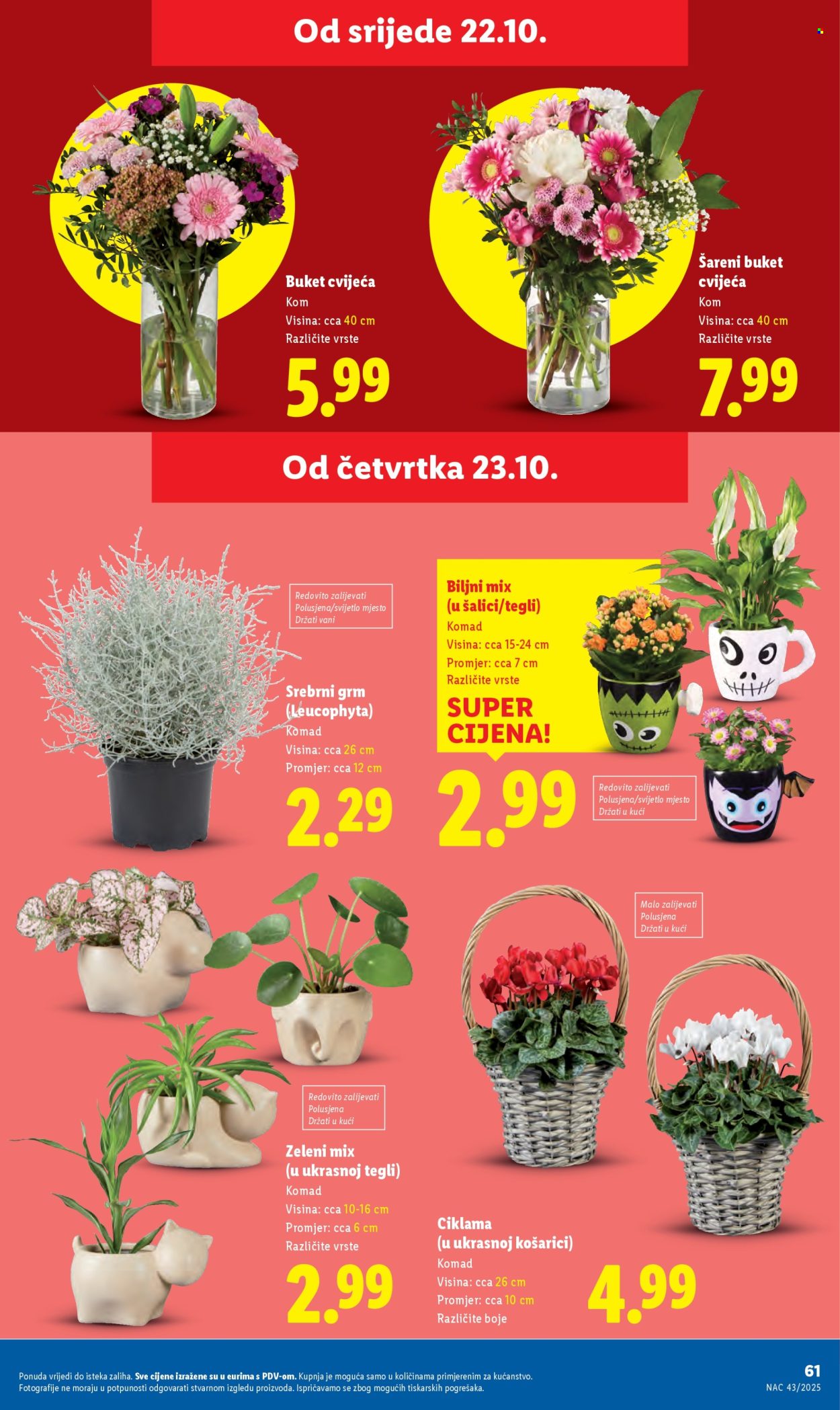 Lidl katalog - 20.10.2025. - 26.10.2025. Stranica 61