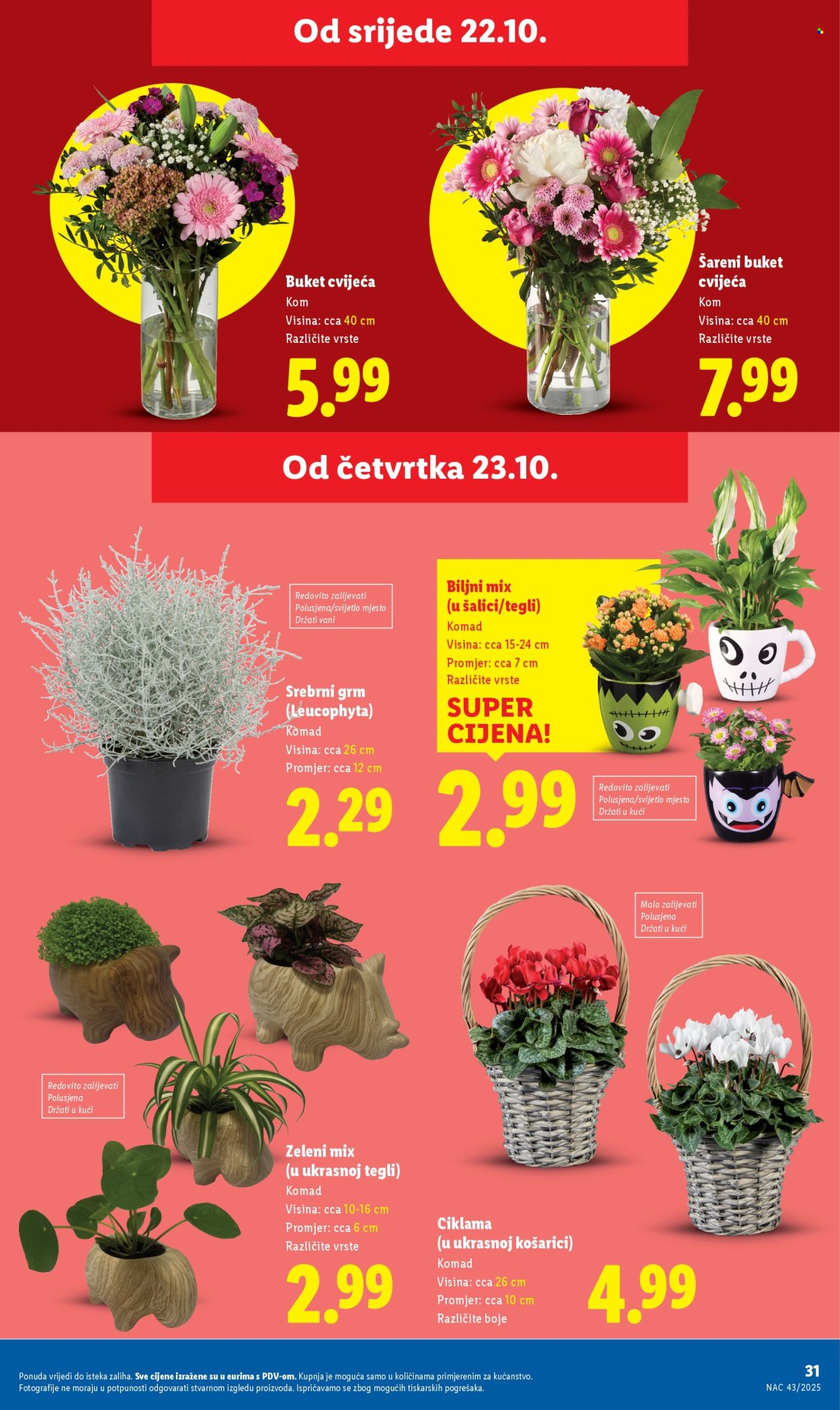 Lidl katalog - 23.10.2025. - 26.10.2025. Stranica 31