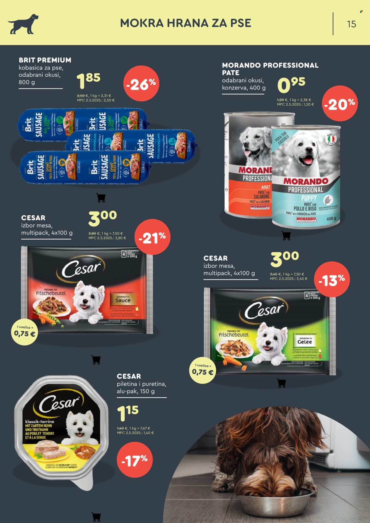 Zoo City katalog - 06.11.2025. - 30.11.2025. Stranica 15