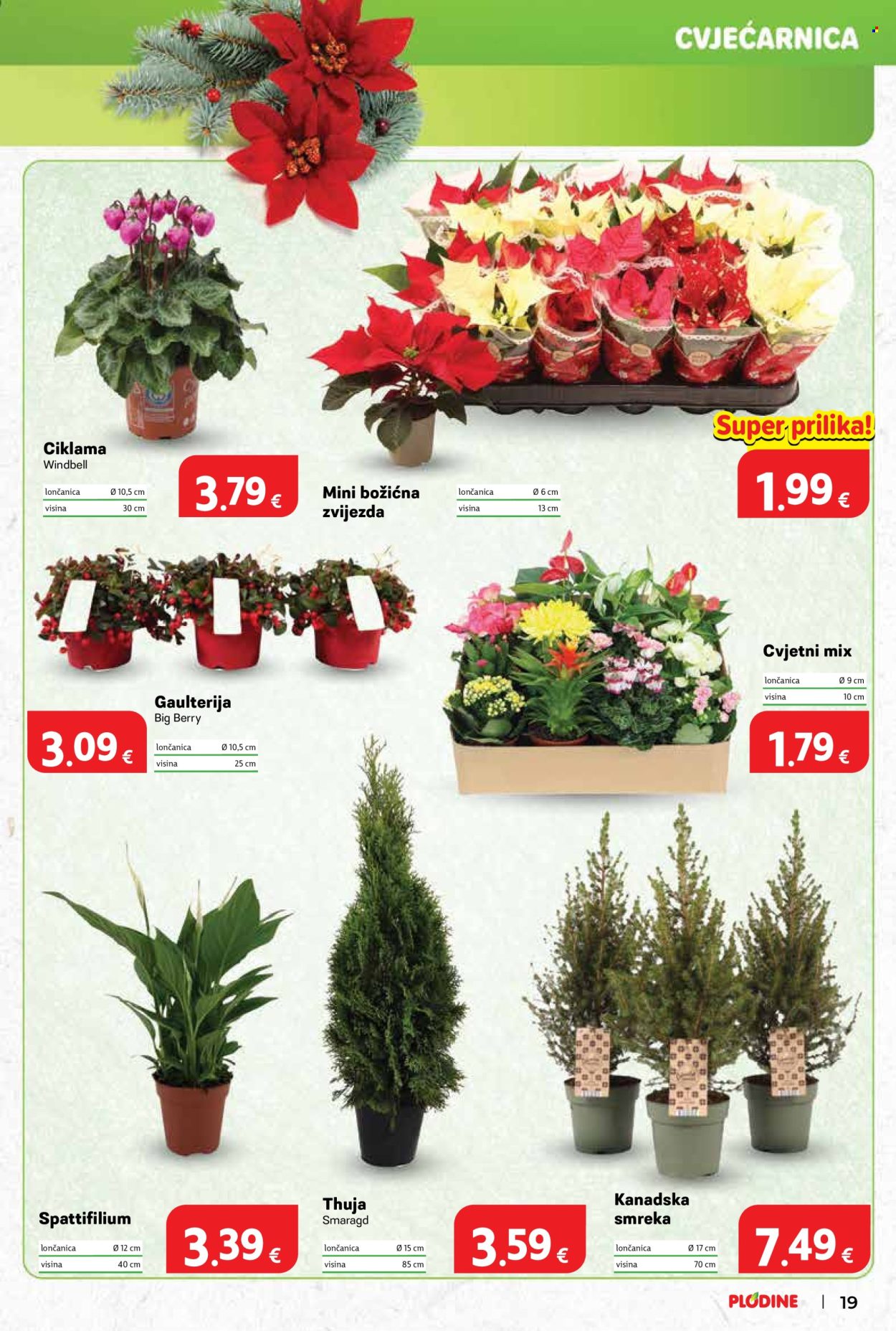 Plodine katalog - 12.11.2025. - 18.11.2025. Stranica 19