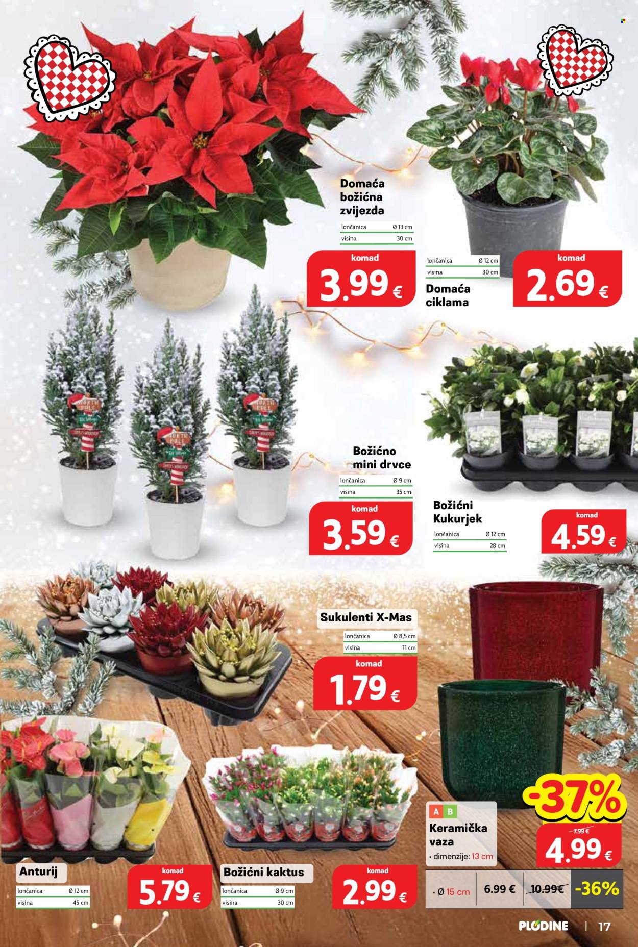 Plodine katalog - 19.11.2025. - 25.11.2025. Stranica 17