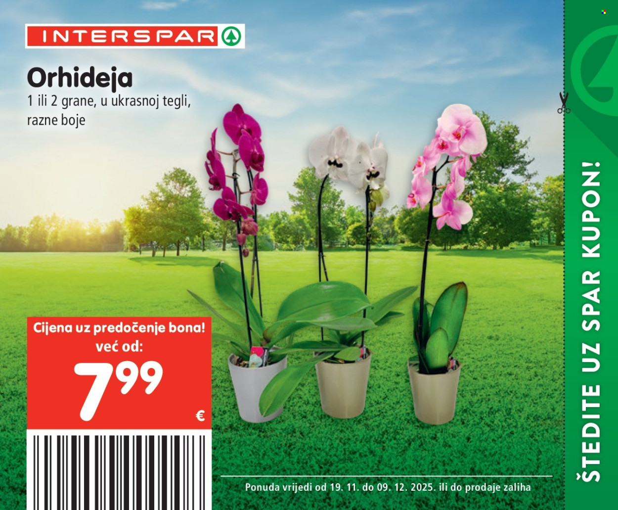 INTERSPAR katalog - 19.11.2025. - 09.12.2025. Stranica 74