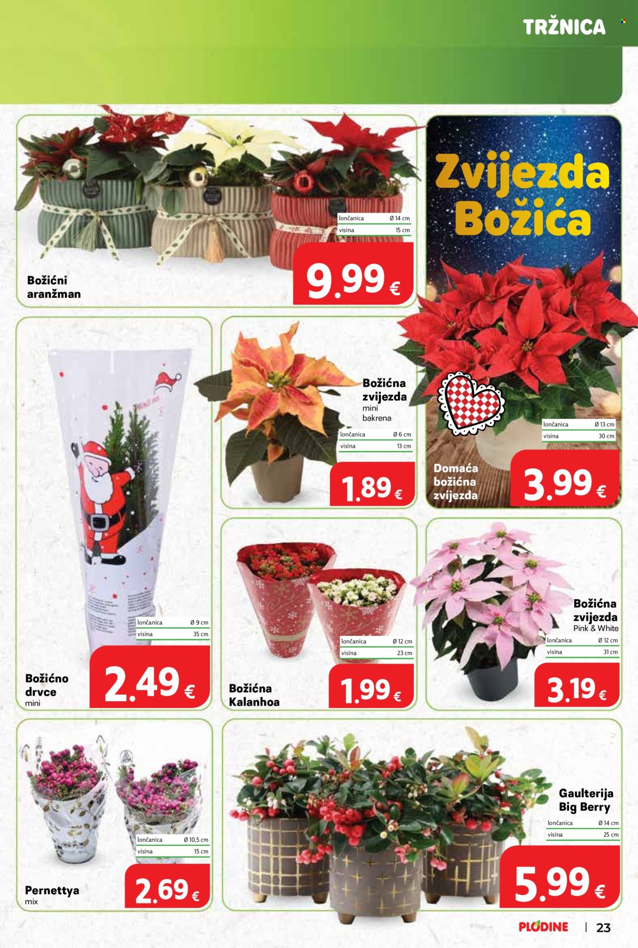 Plodine katalog - 26.11.2025. - 02.12.2025. Stranica 23