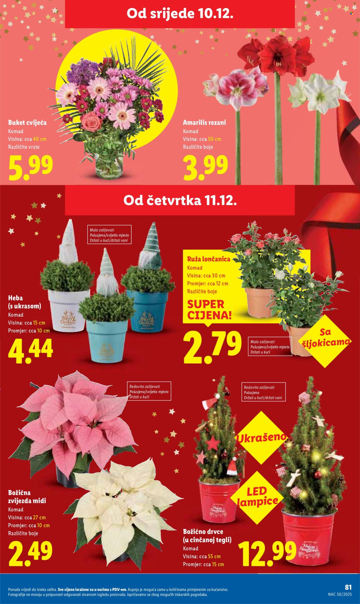 Lidl katalog - 08.12.2025. - 14.12.2025. Stranica 81