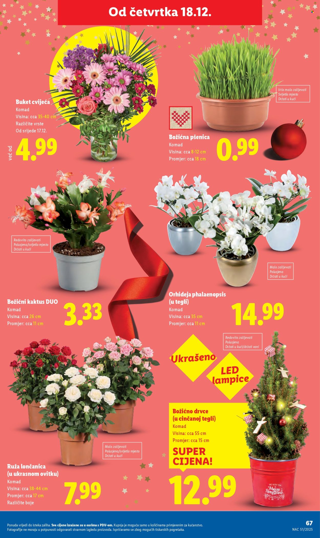 Lidl katalog - 15.12.2025. - 24.12.2025. Stranica 67