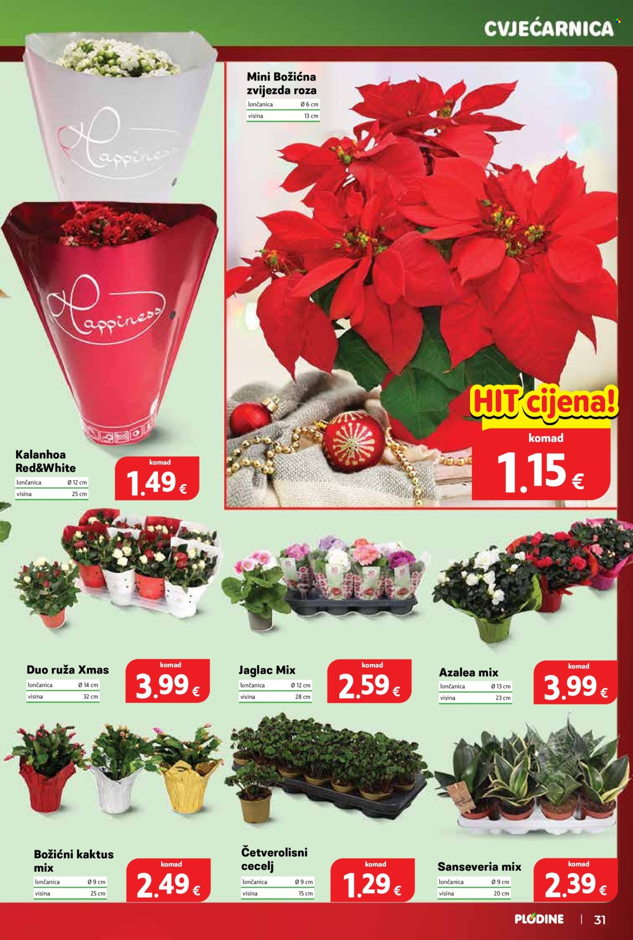 Plodine katalog - 17.12.2025. - 24.12.2025. Stranica 31