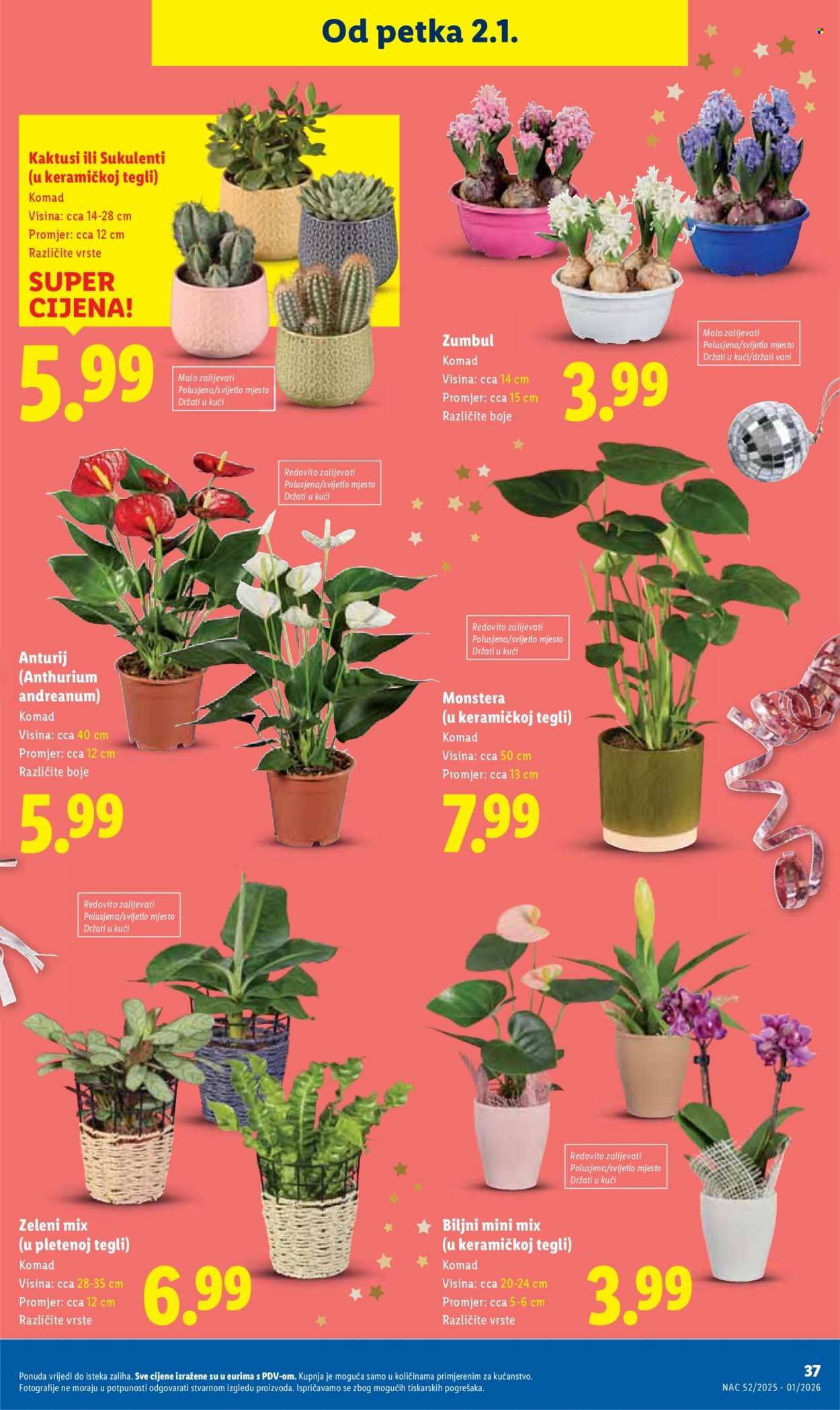 Lidl katalog - 27.12.2025. - 05.01.2026. Stranica 37