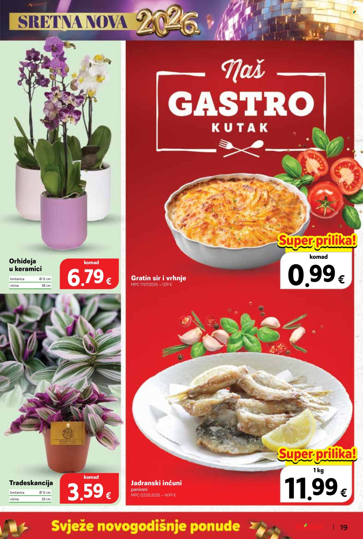 Plodine katalog - 27.12.2025. - 31.12.2025. Stranica 19