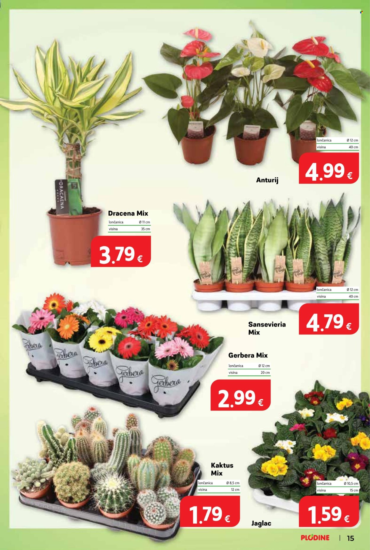 Plodine katalog - 02.01.2026. - 05.01.2026. Stranica 15