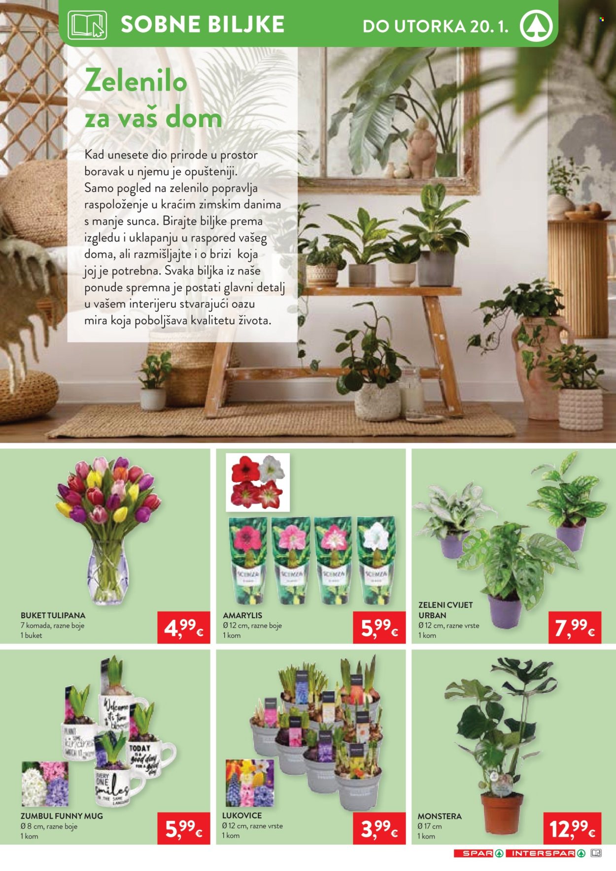 INTERSPAR katalog - 07.01.2026. - 13.01.2026. Stranica 30