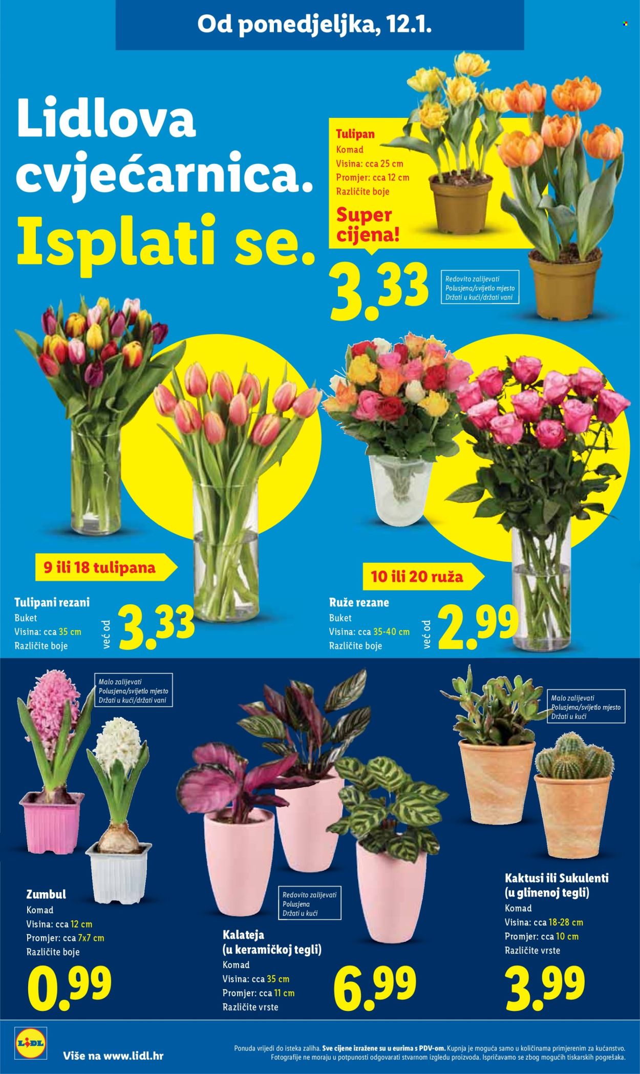 Lidl katalog - 12.01.2026. - 18.01.2026. Stranica 52