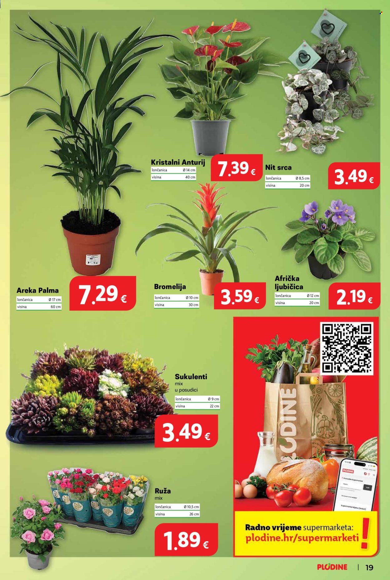 Plodine katalog - 14.01.2026. - 20.01.2026. Stranica 19