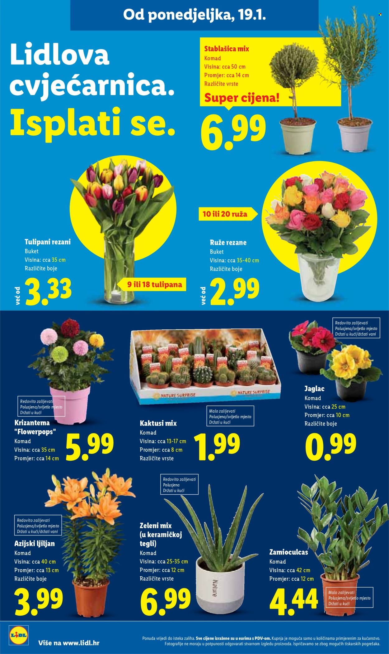 Lidl katalog - 19.01.2026. - 25.01.2026. Stranica 48