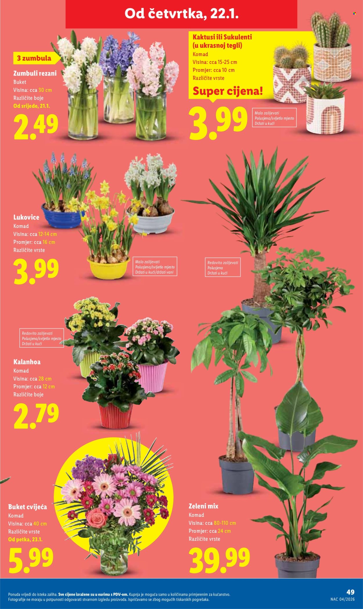 Lidl katalog - 19.01.2026. - 25.01.2026. Stranica 49