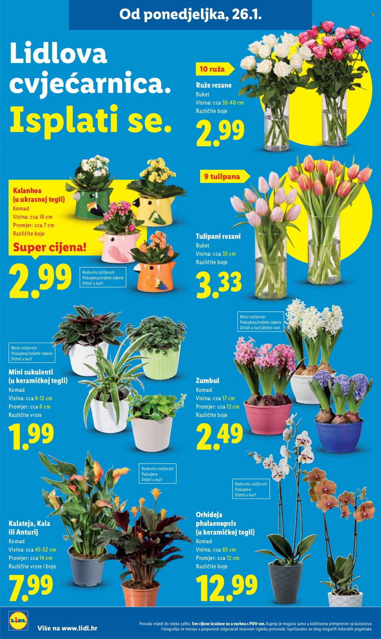Lidl katalog - 26.01.2026. - 01.02.2026. Stranica 38