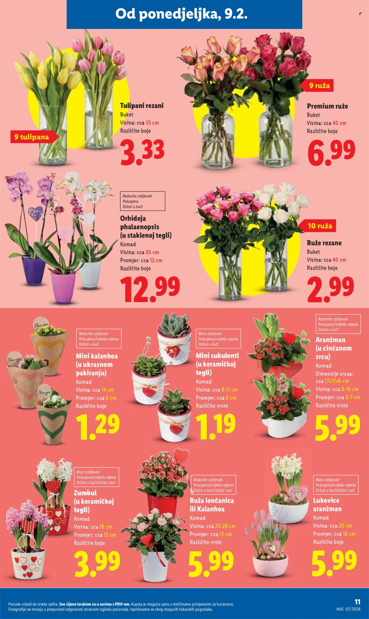 Lidl katalog - 09.02.2026. - 14.02.2026. Stranica 11