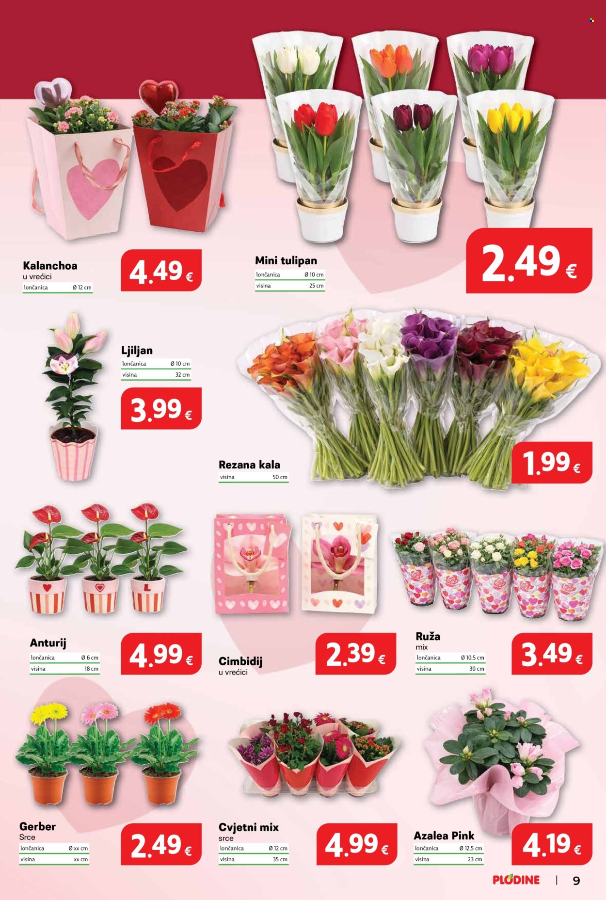 Plodine katalog - 11.02.2026. - 17.02.2026. Stranica 9