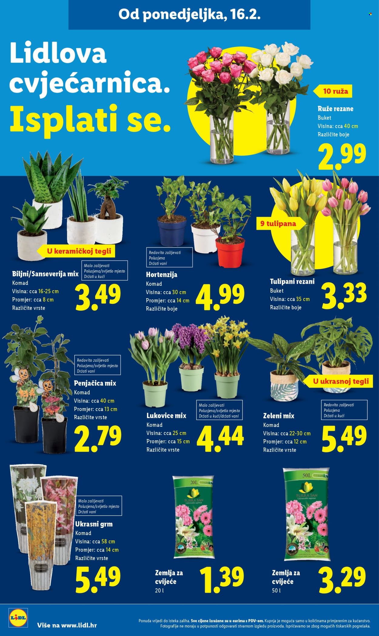 Lidl katalog - 16.02.2026. - 21.02.2026. Stranica 50