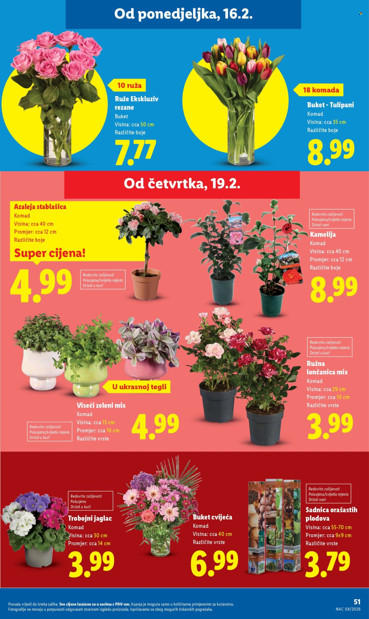 Lidl katalog - 16.02.2026. - 21.02.2026. Stranica 51