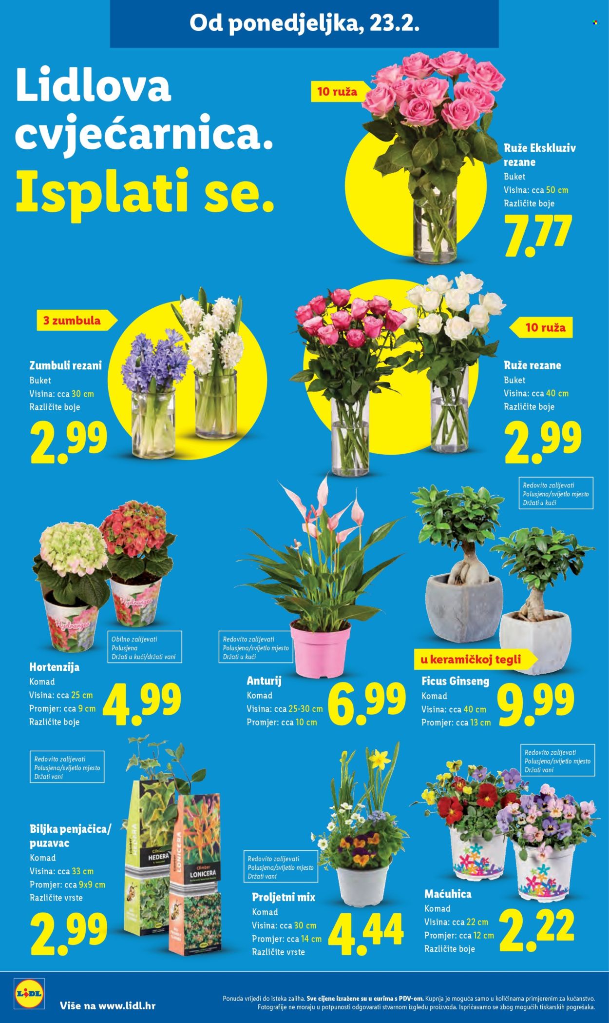 Lidl katalog - 23.02.2026. - 01.03.2026. Stranica 32