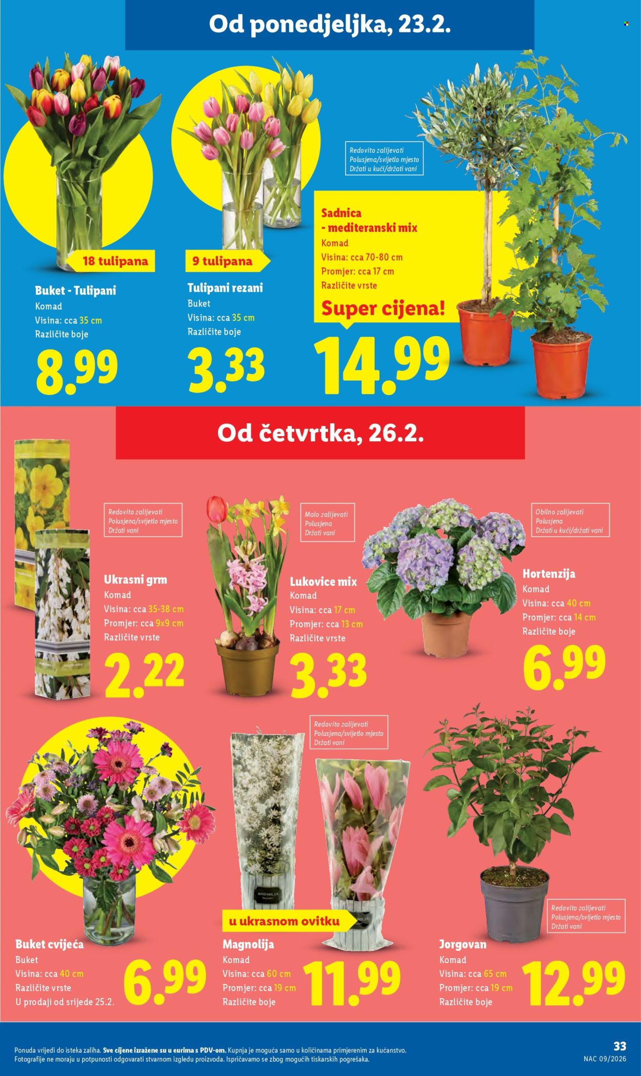 Lidl katalog - 23.02.2026. - 01.03.2026. Stranica 33