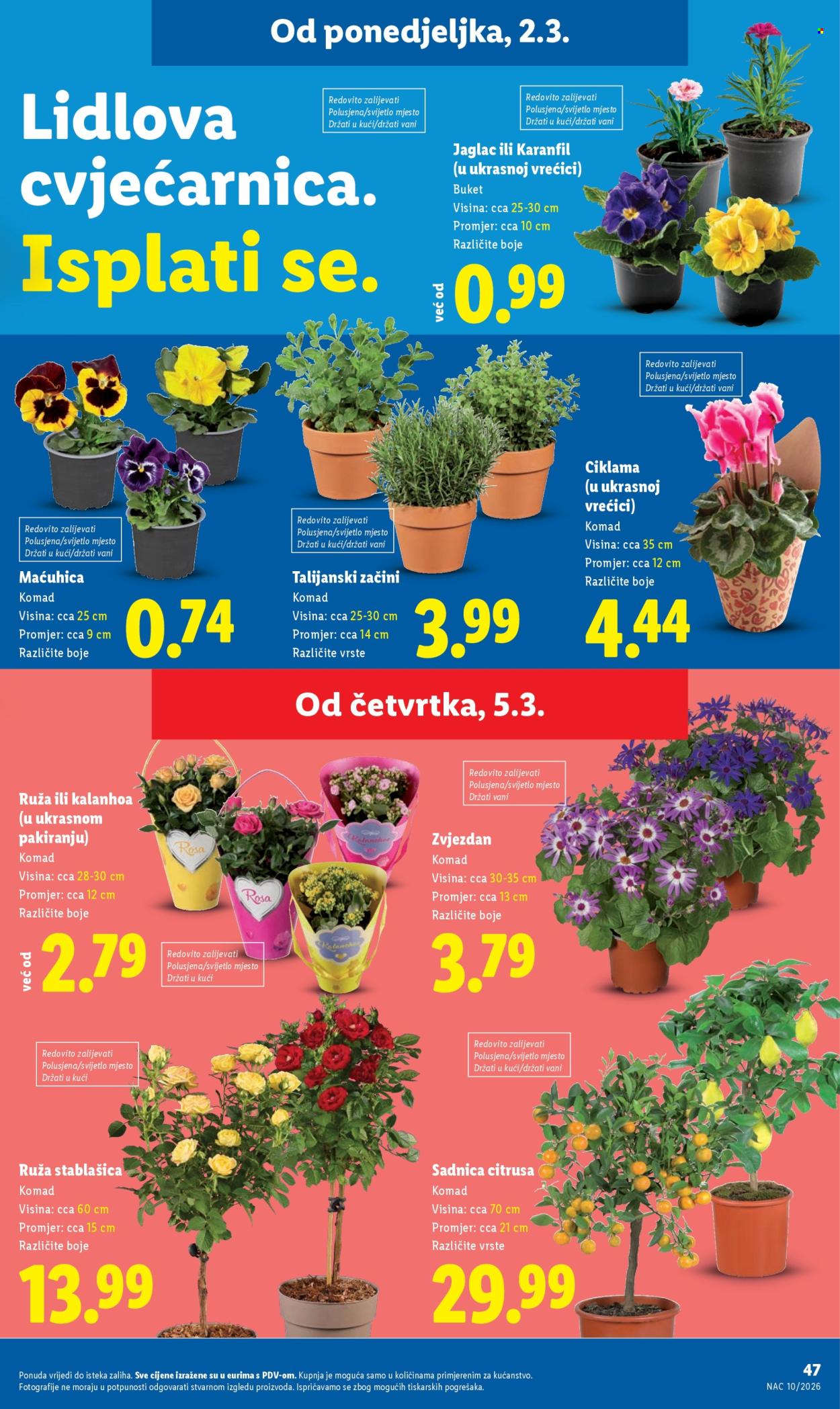 Lidl katalog - 02.03.2026. - 08.03.2026. Stranica 47