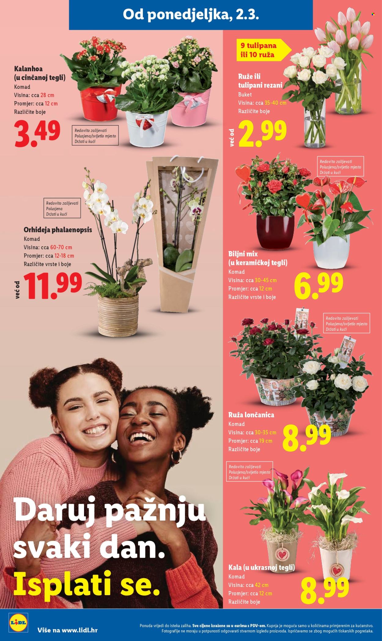 Lidl katalog - 02.03.2026. - 08.03.2026. Stranica 48