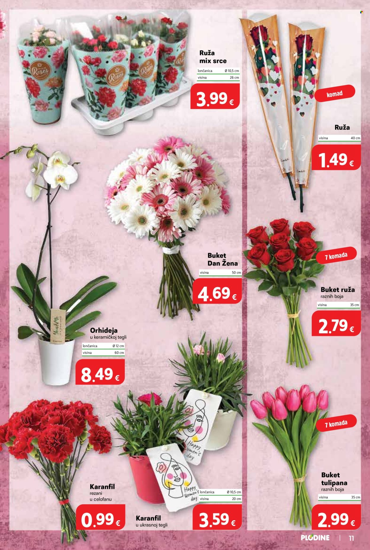 Plodine katalog - 04.03.2026. - 10.03.2026. Stranica 11