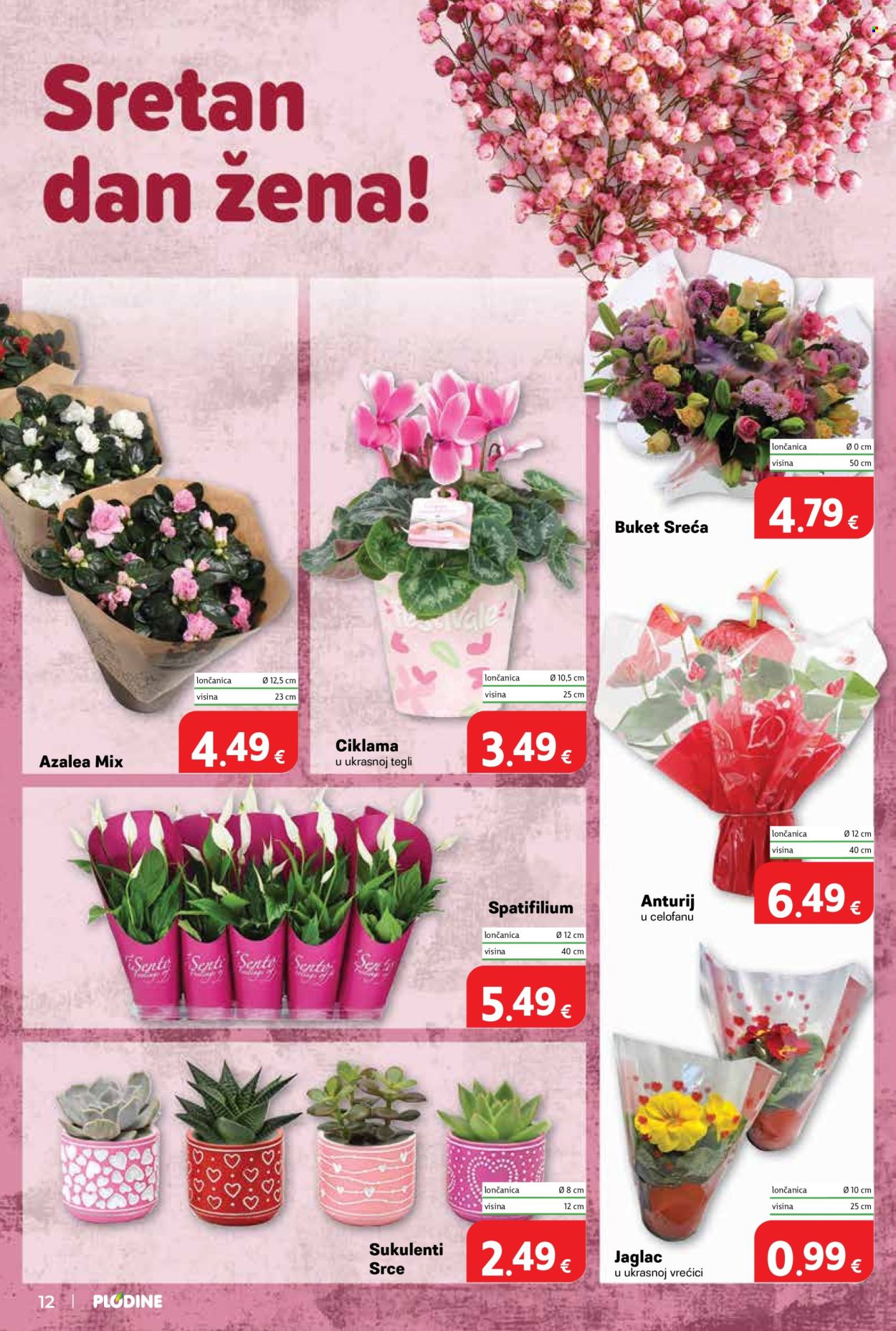 Plodine katalog - 04.03.2026. - 10.03.2026. Stranica 12