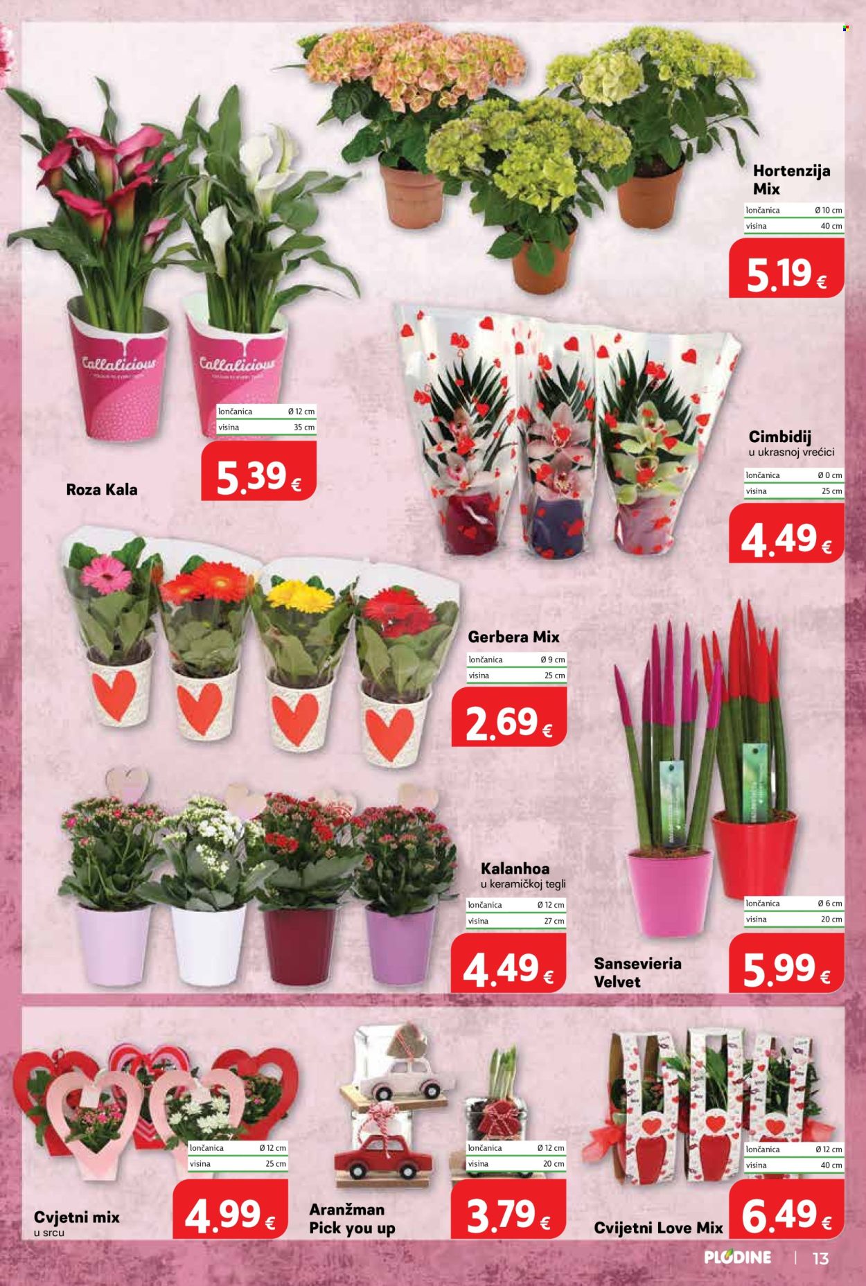 Plodine katalog - 04.03.2026. - 10.03.2026. Stranica 13